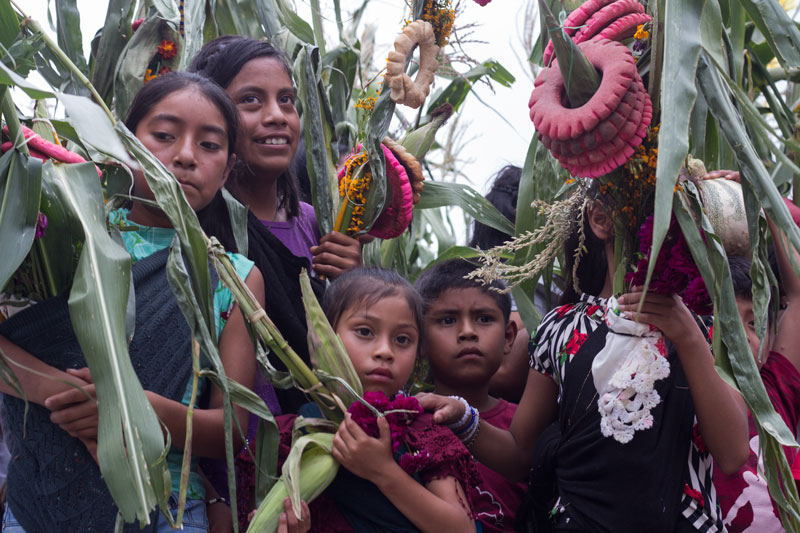 Niños indígenas náhuatl originarios de la comunidad de Chiepetepec durante el ritual.
