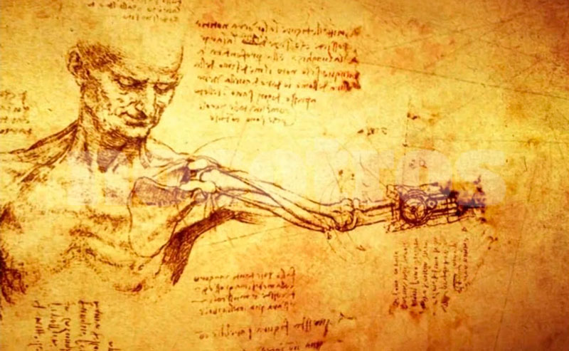 Trabajo sobre anatomía de Da Vinci
