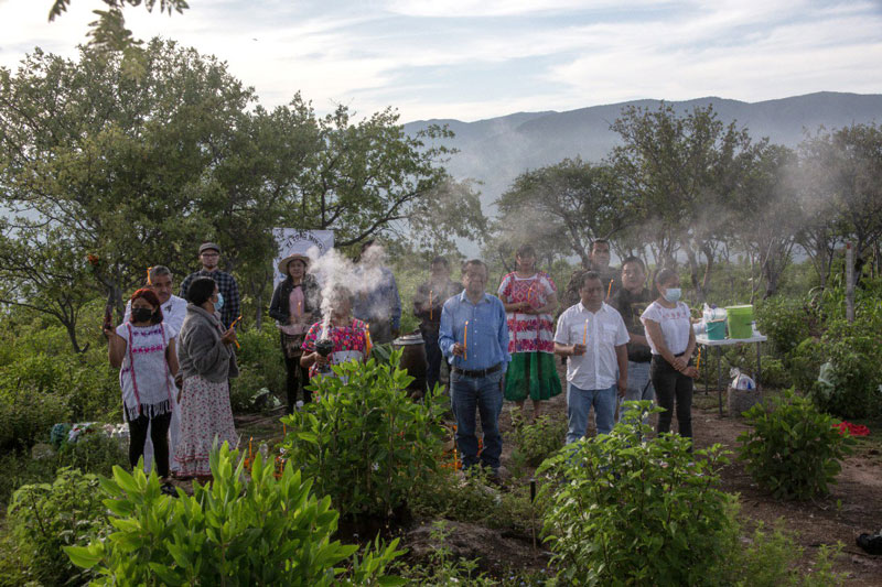 Toro Miko en el Día Internacional de los Pueblos Originarios