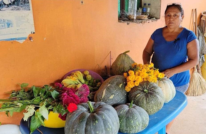 Venta e intercambio local de productos de la milpa en la Costa Grande de Guerrero. Foto de Marcos Cortez