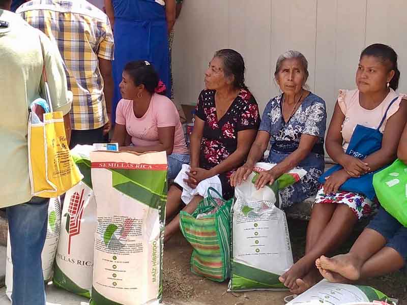 Familias beneficiarias del Programa Fertilizante 2019 muestran su bulto de semilla híbrida y se mantienen a la espera de recibir sus 6 bultos de fertilizante químico.   Junio de 2019. Foto: Marcos Cortez.