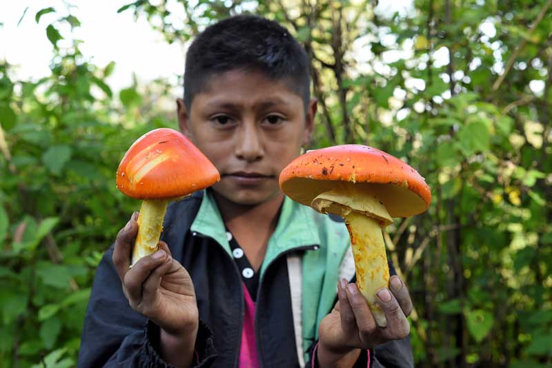 Niño con hongo