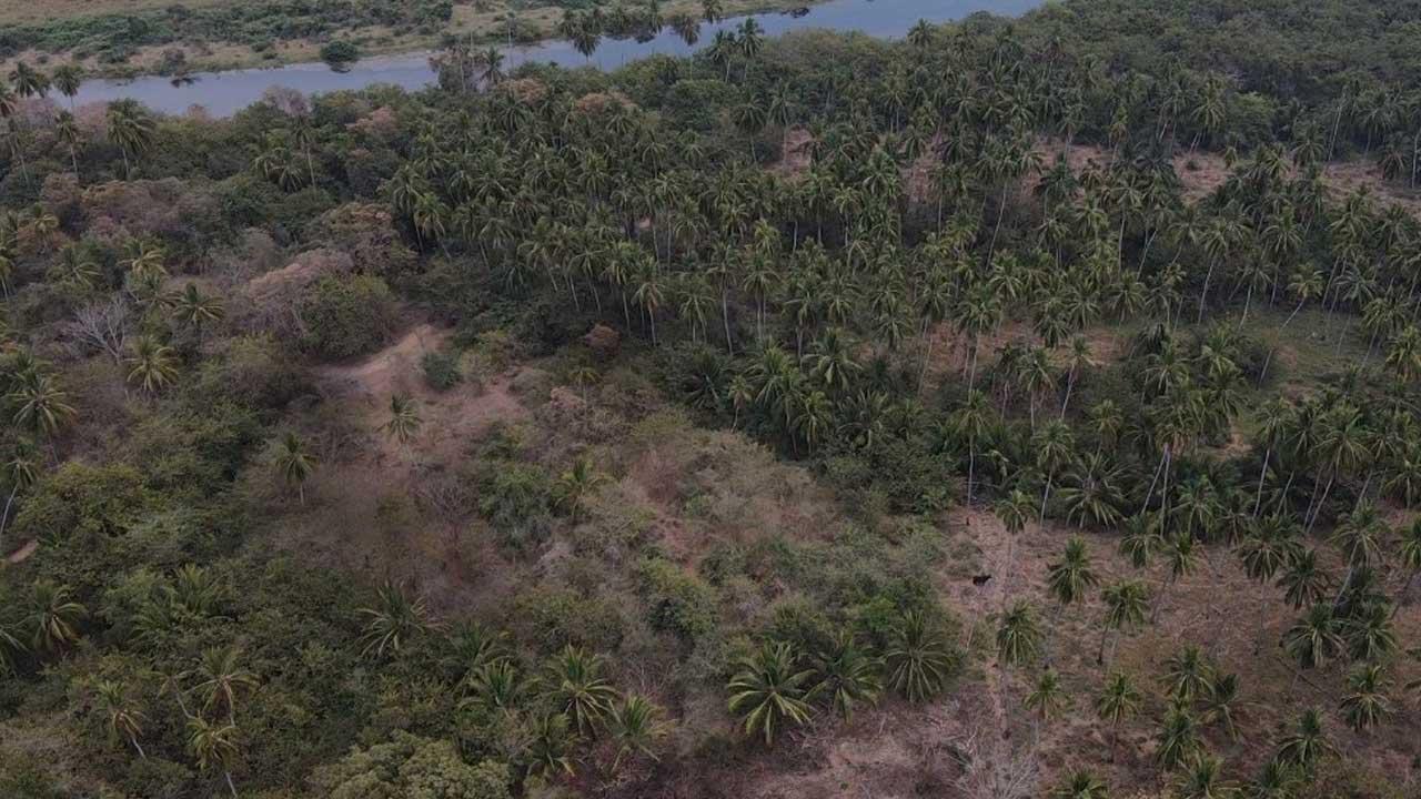 Sitio arqueológico