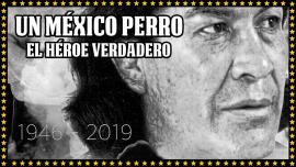 Un mexico perro