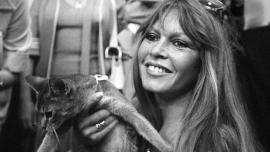 Brigitte Bardot, símbolo de belleza y sensualidad en el cine, sosteniendo uno de sus amados gatos, un reflejo de la profunda conexión que desarrollaría más tarde con la protección y defensa de los animale