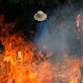 Foto_-Reuters-