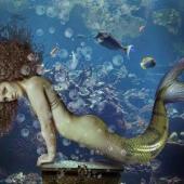 El canto de la sirena | cuento de Ada Vega