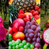 Global Fruit Latam